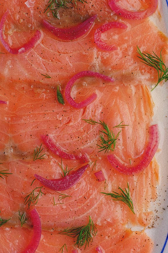 Salmon